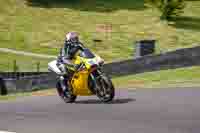 Lower Group Yellow Bikes